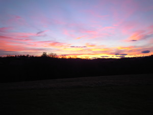 DSCN6076