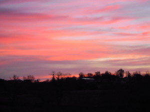 DSCN6077