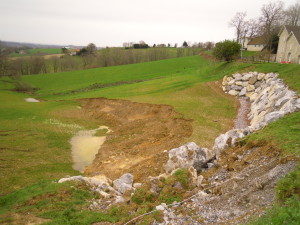 DSCN6080