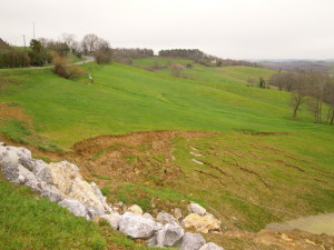 DSCN6083